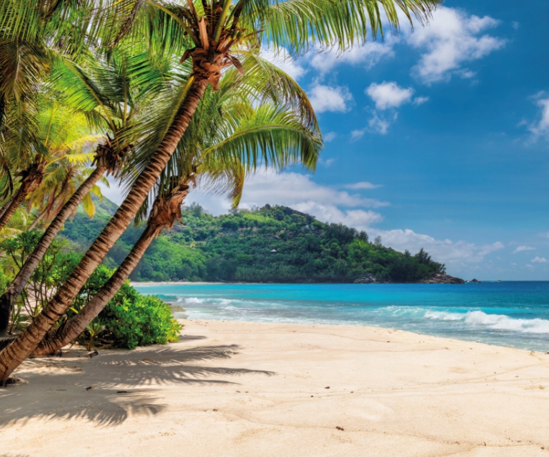 Fototapeta Pláž s palmami do obývačky 300x250 cm vliesová 230 g