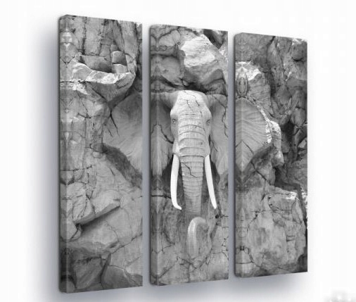 Obraz 90x100 Triptych slon skály monochromatické příroda síla dekor