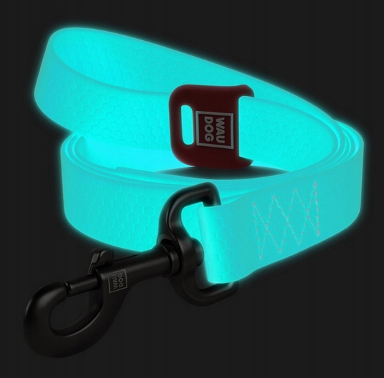 Levně Voděodolná vodítko pro psa svítící ve tmě WauDog Waterproof 2 cm/183 cm
