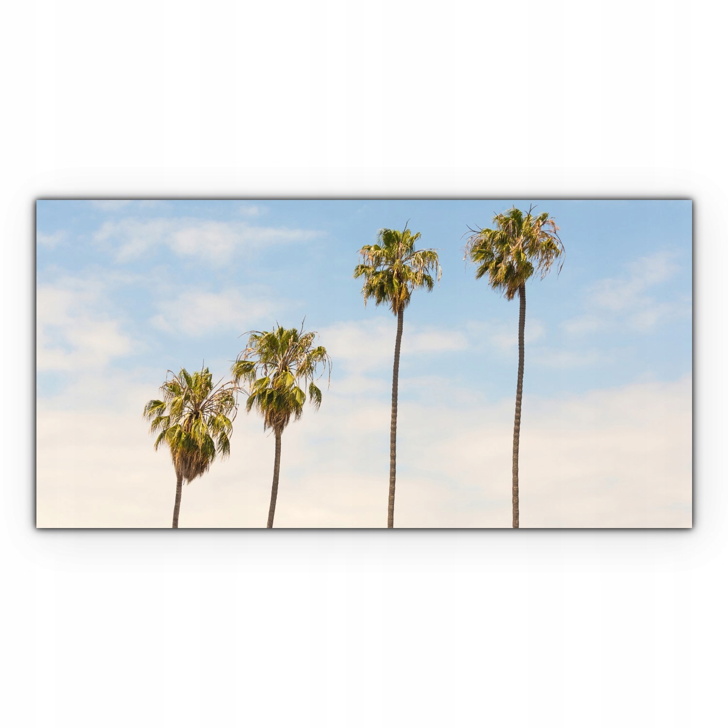 

Canvas na ramie na ścianę 100x50 Palmy Kalifornia