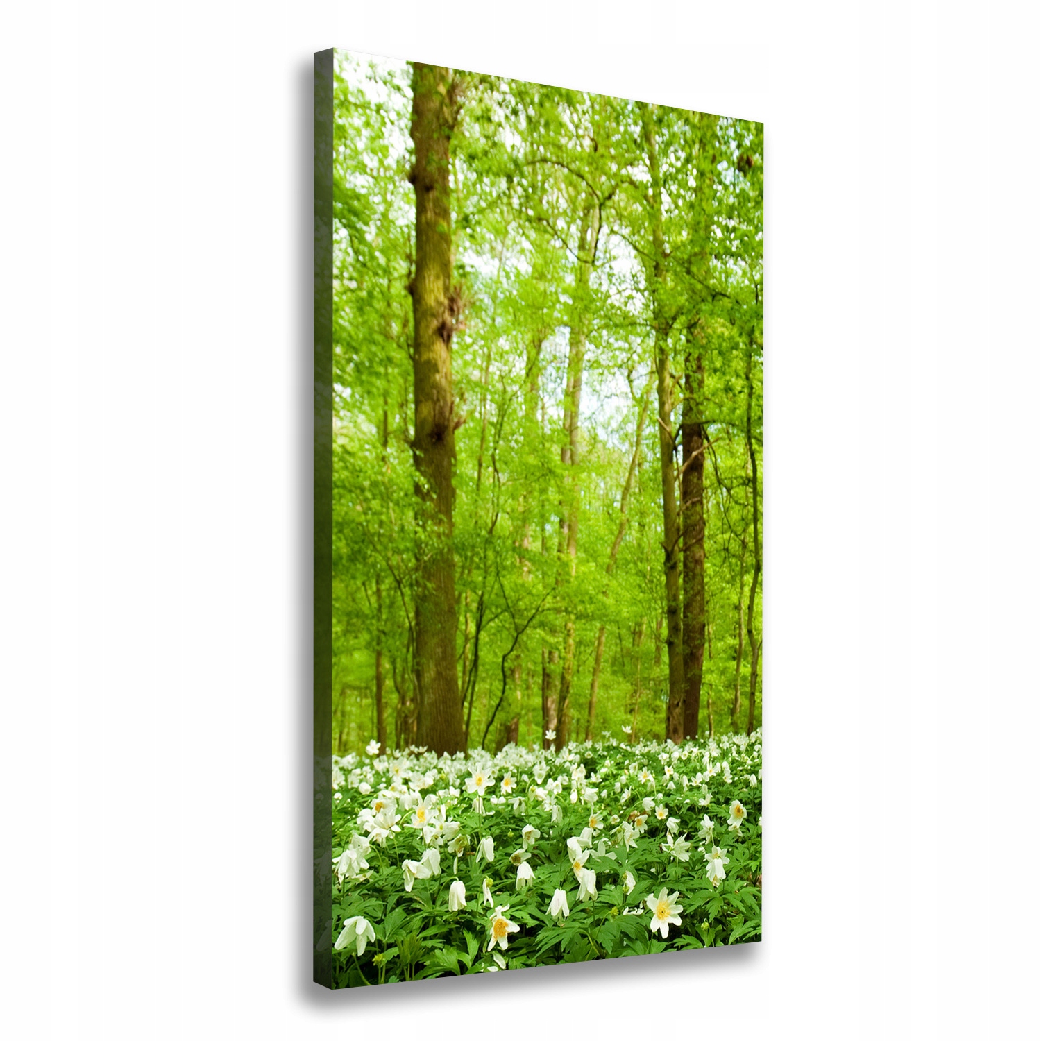 

Foto obraz na płótnie Kwiaty w lesie 60x120 cm