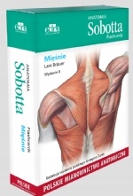 

Anatomia Sobotta Flashcards Mięśnie Polskie