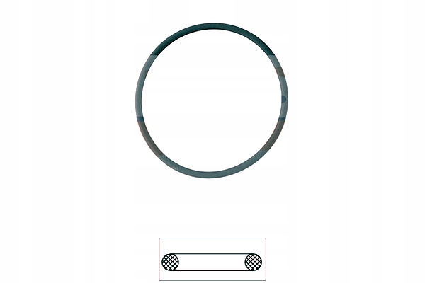 USZCZELKA TERMOSTATU EPS Numer katalogowy części 1.890.575