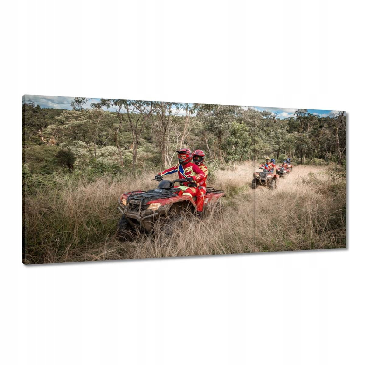 Obrazy 120x60 Quad Čtyři kolečka Terén
