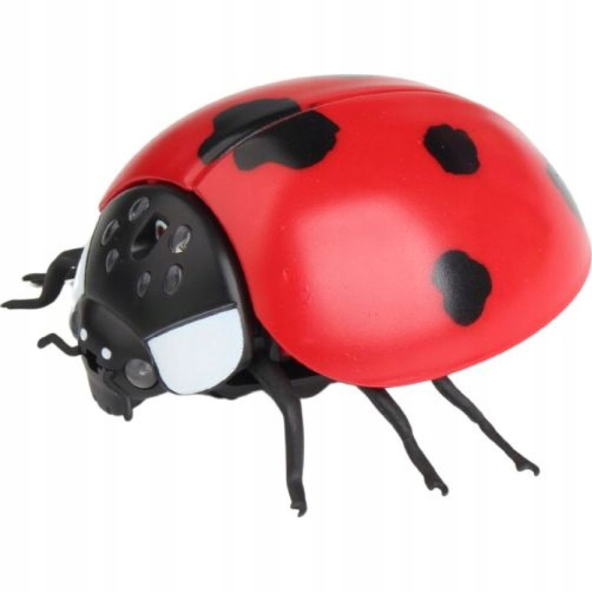 Alltoys RC Biedronka