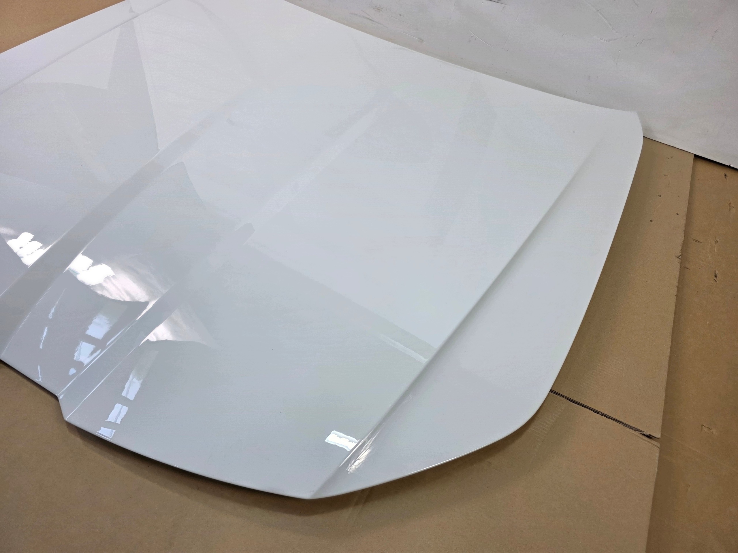 cofano BMW 5 G60 G61 A300 ALPINWEISS