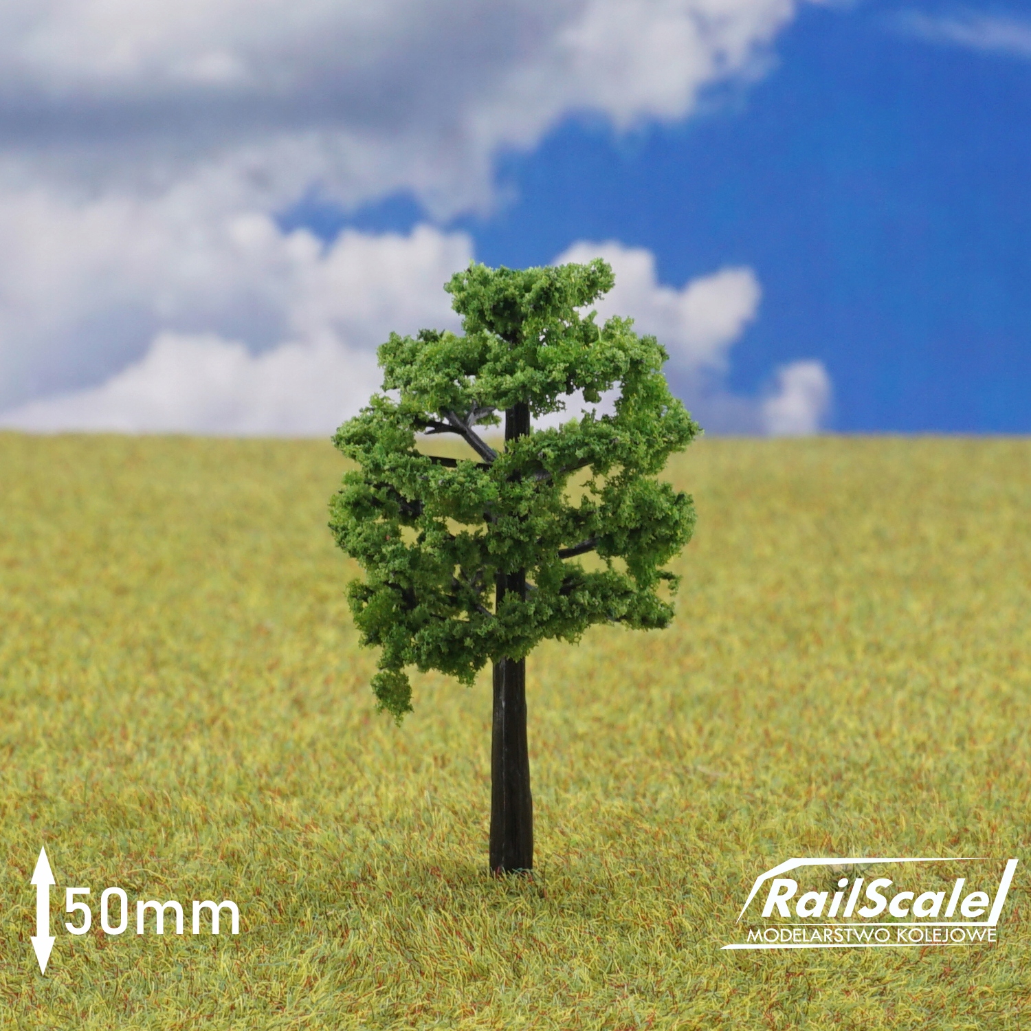 

Drzewka 50 mm na makietę kolejową H0 1:87 Tt (b)