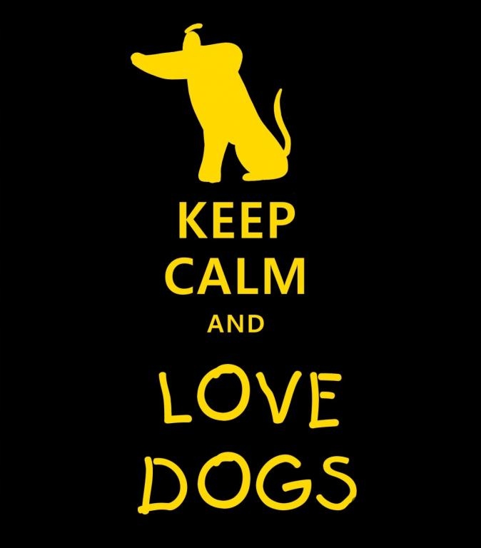 

Męska Śmieszne Koszulki Keep Calm Wzory k9a
