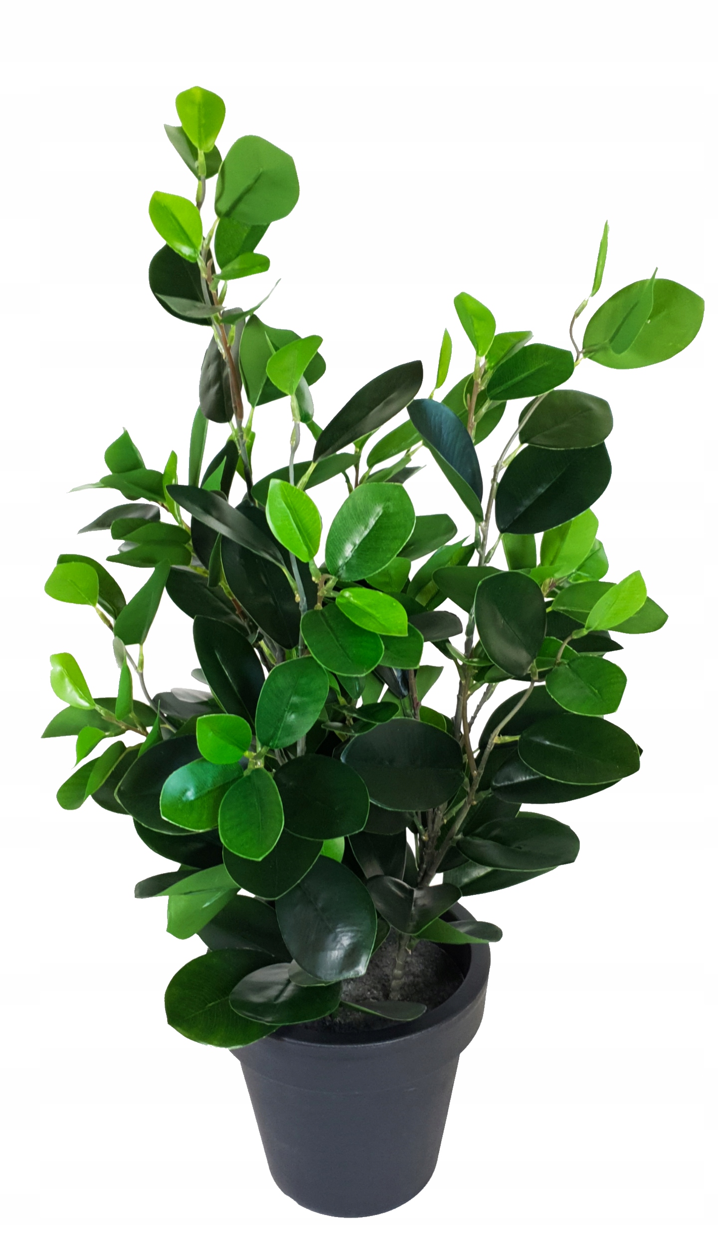 

Sztuczny Gęsty Fikus w Doniczce Liście Ficus