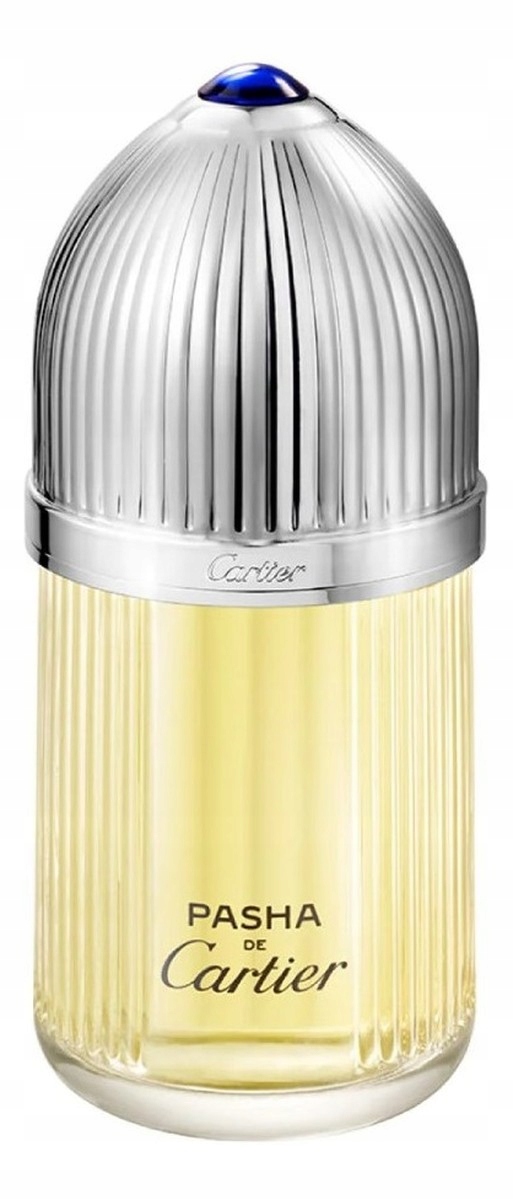 Cartier Pasha de Cartier Toaletní voda sprej 100 ml