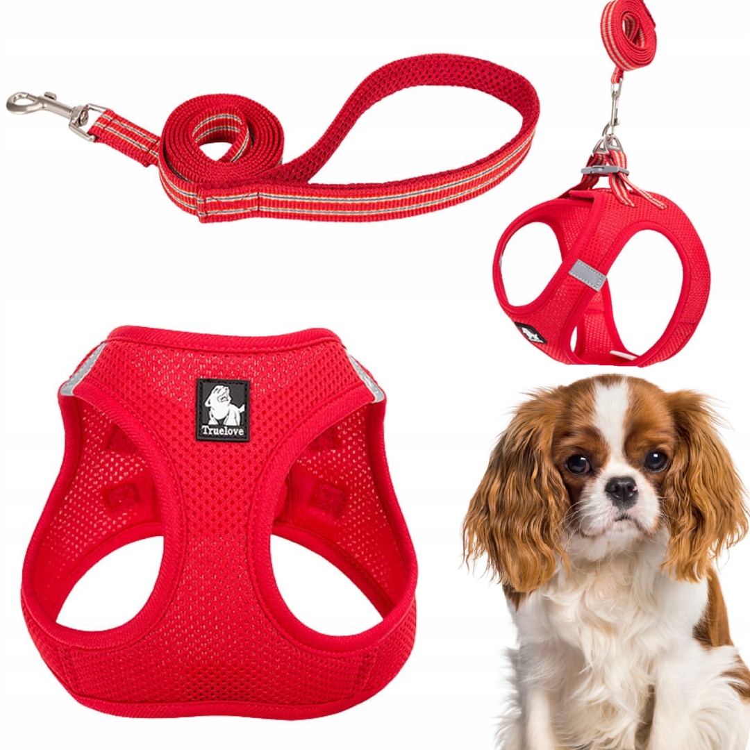 Levně Postroj Vodítko Pro Malého Psa Kočky Lehké Truelove Mini Červené M Set