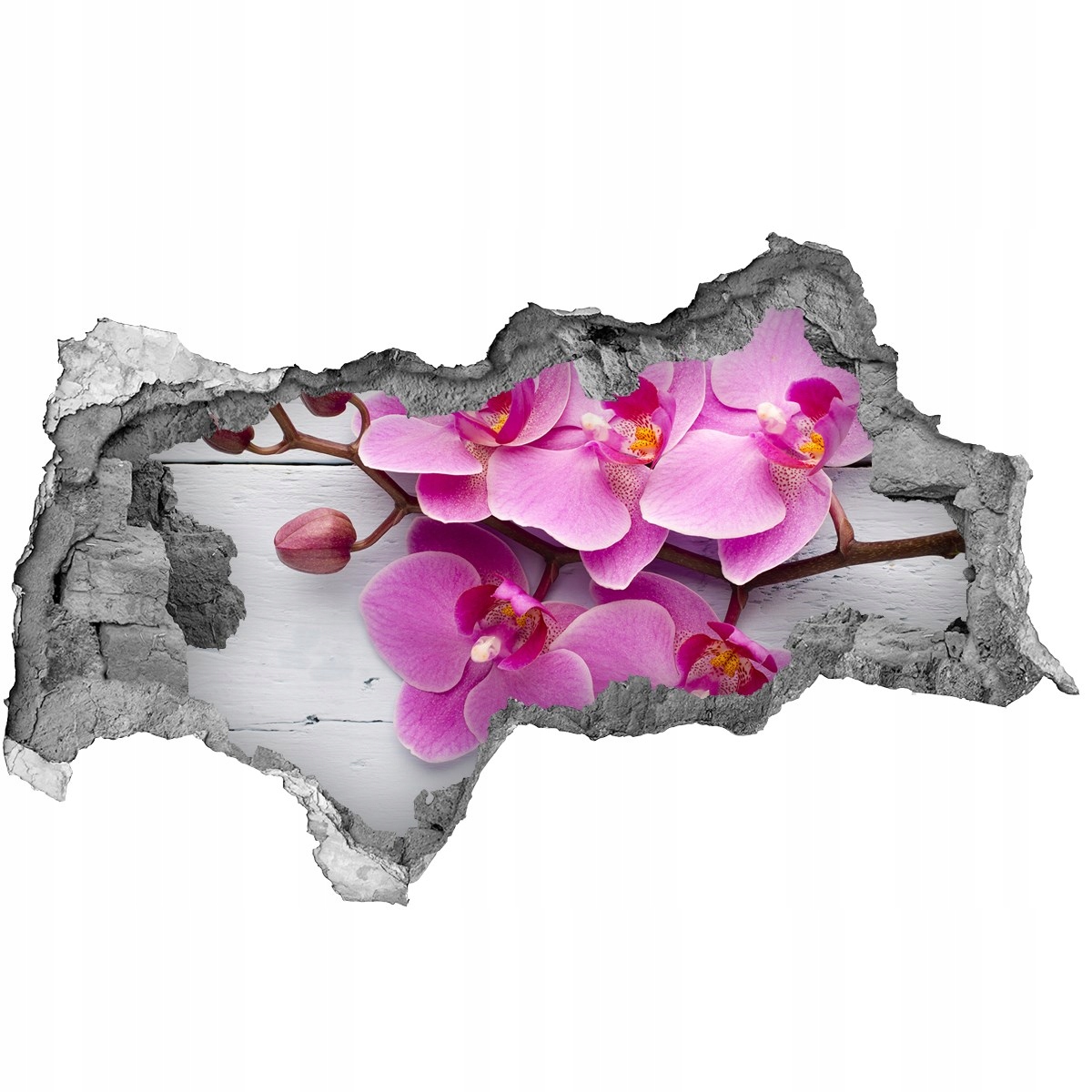 

Samoprzylepna Naklejka Orchidea na drewnie 95x73