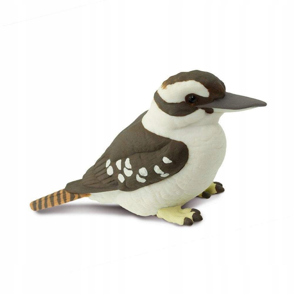 

Kukabura Kookaburra Safari Ltd. 151129