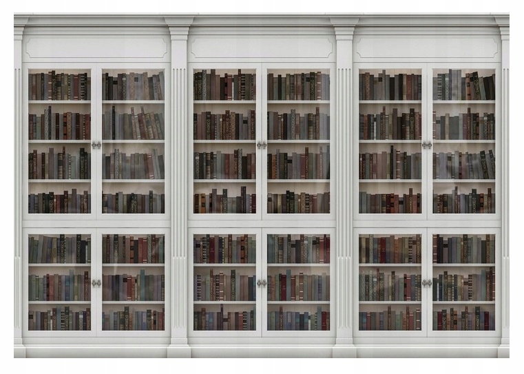 Fototapeta regál knižnica knihy Lepidlo 312x219