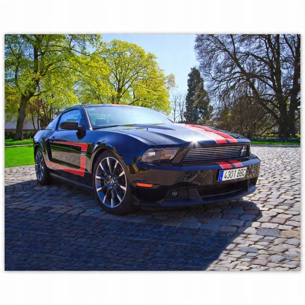 

Plakat 50x40 Ford Mustang Samochód