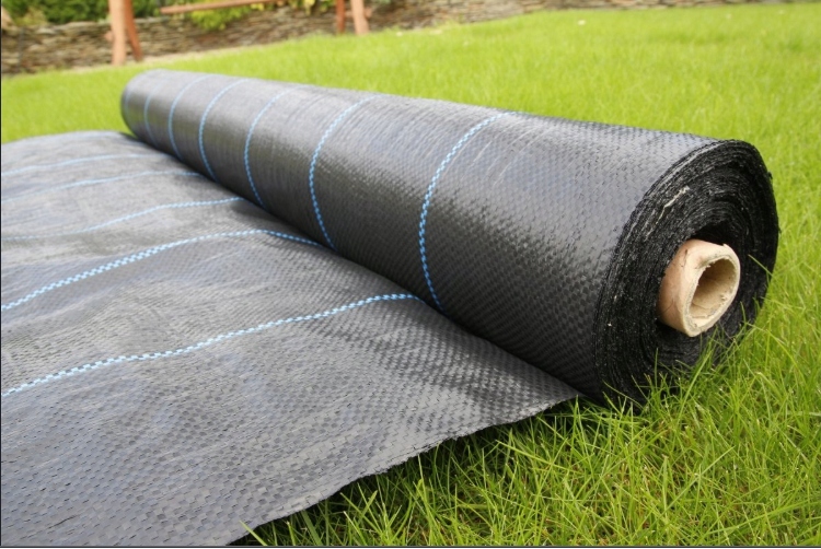 Agrotextilie černá mulčovací 70 g 1,1 m x 50 m, podložka na plevel