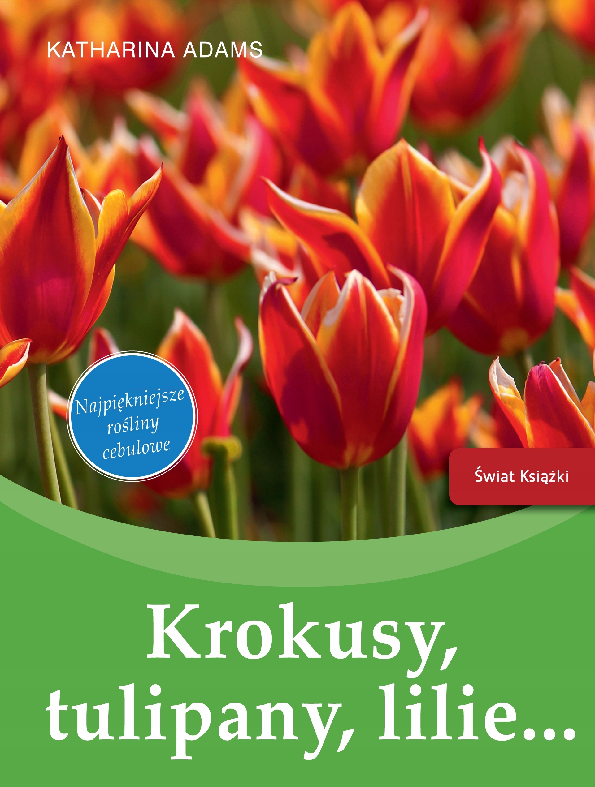 Krokusy, tulipany, lilie… Katharina Adams