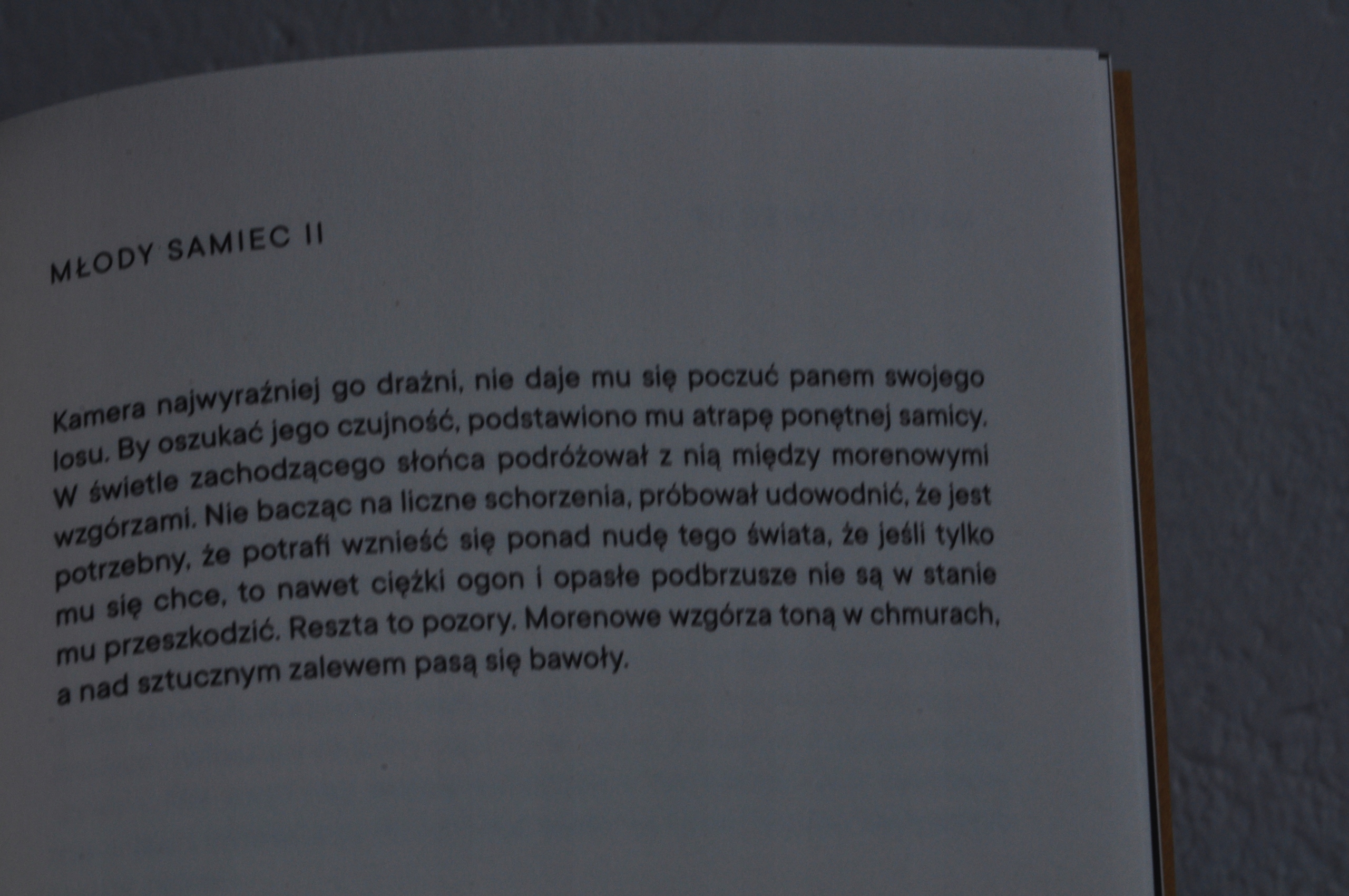 Jakub Kornhauser, In amplexu Język publikacji polski