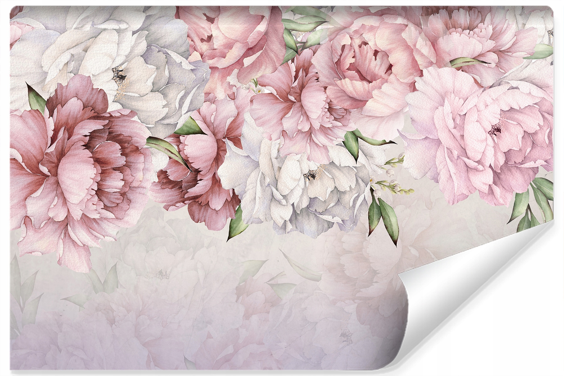 

Fototapeta Kwiaty Piwonie Peonie Rośliny 300x210