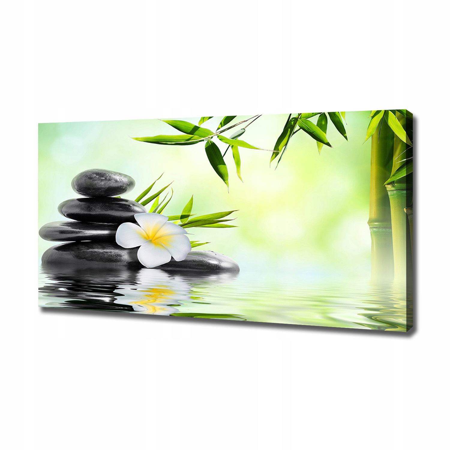 

Foto obraz na płótnie Orchidea i bambus 120x60 cm