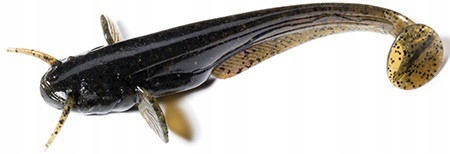 Przynęta Fishup Catfish 3” 043 Watermelon Brown/Black