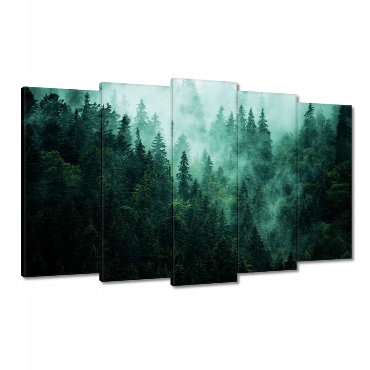 Obrazy 100x60 Les Mlha Krajina Cestování
