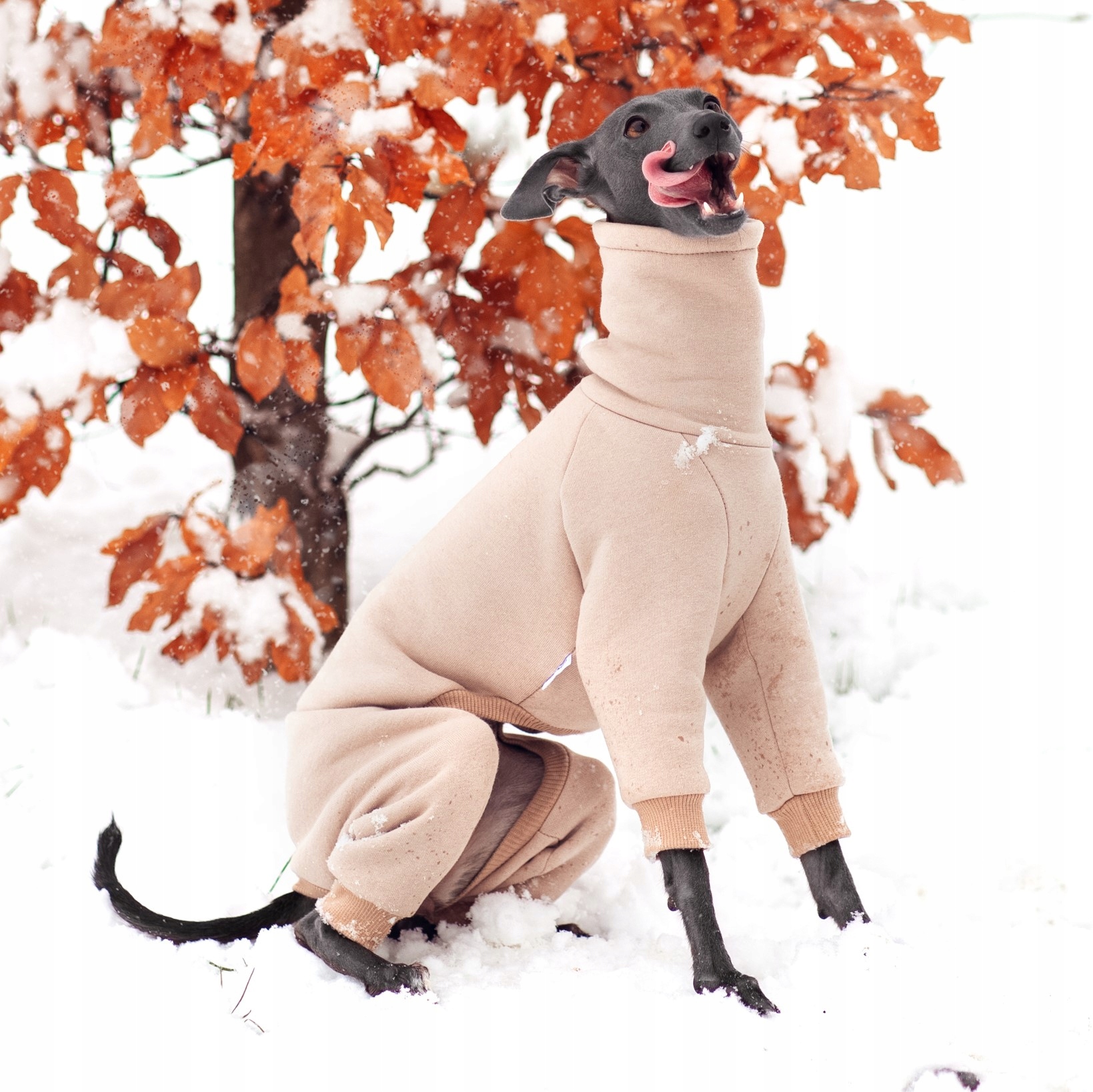 Levně Oblečení pro italského chrtíka Kombinéza Basic