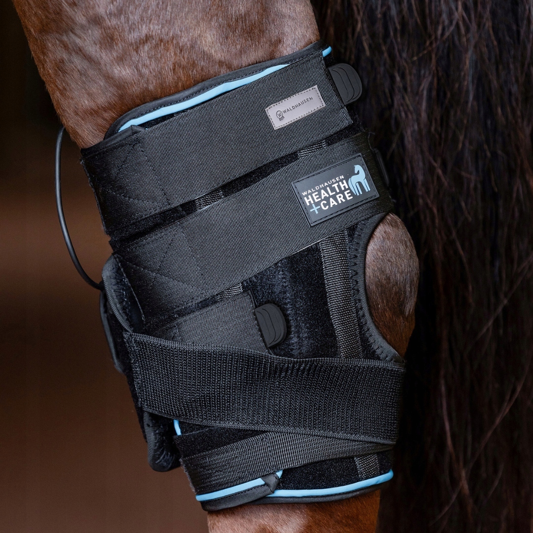 Chránič na kotníkový kloub a šlachy koně Waldhausen Health Care