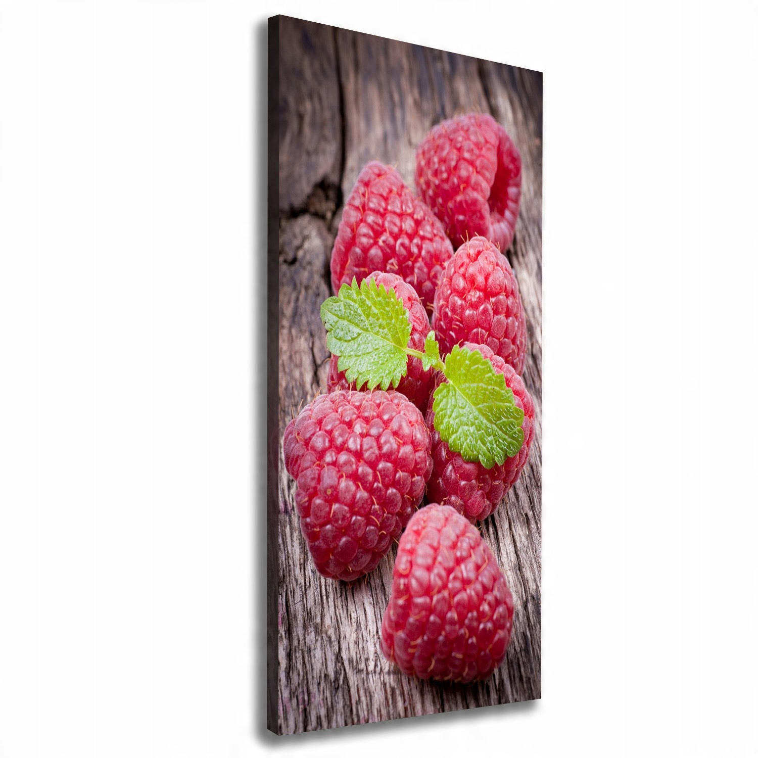 

Nowoczesny fotoobraz canvas na ramie Maliny 50x125