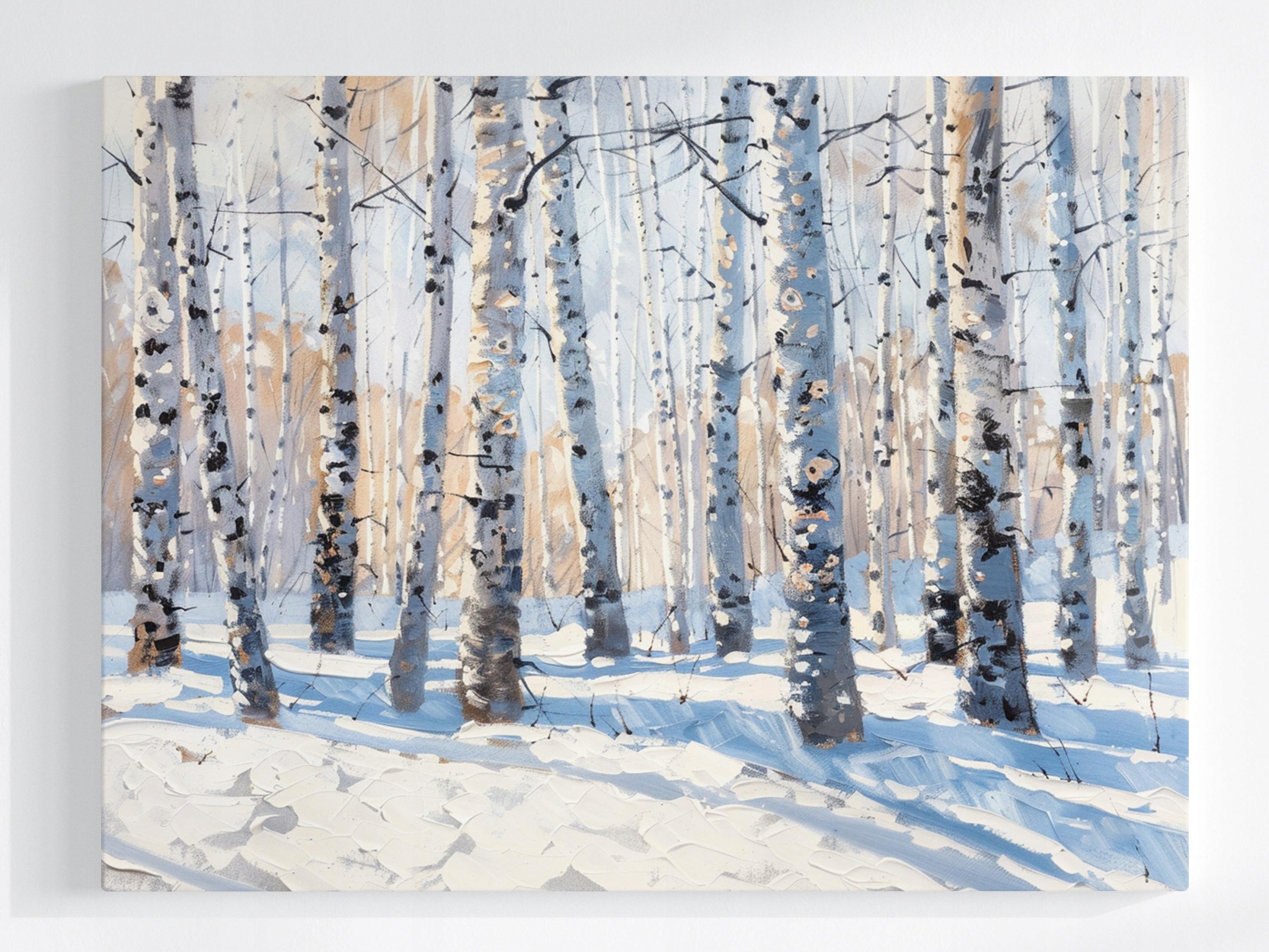 Obraz Na Plátně Canvas Krajina Les Park Stromy Břízy Zima Sníh 80x60