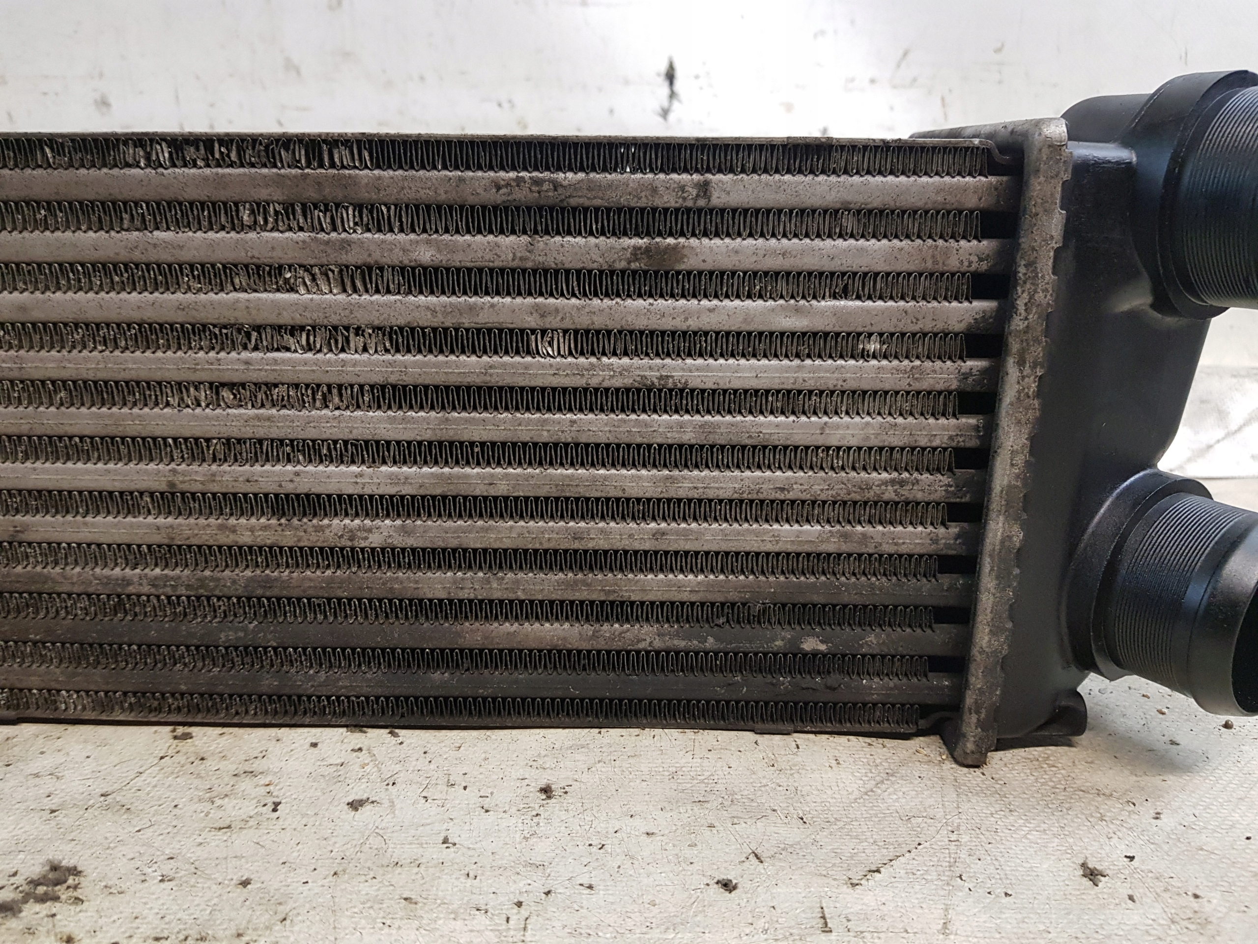 9648551880 INTERCOOLER CITROEN C4 und 1.6D
