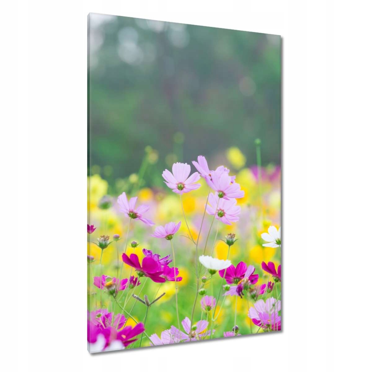 Obrazy 80x120 Květiny