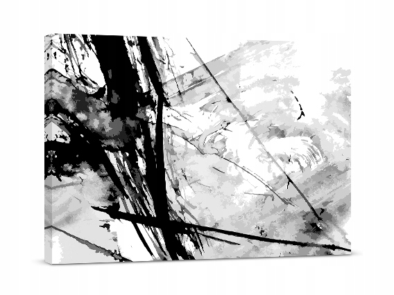 

Fotoobraz czarno-biała abstrakcja 100x70 cm