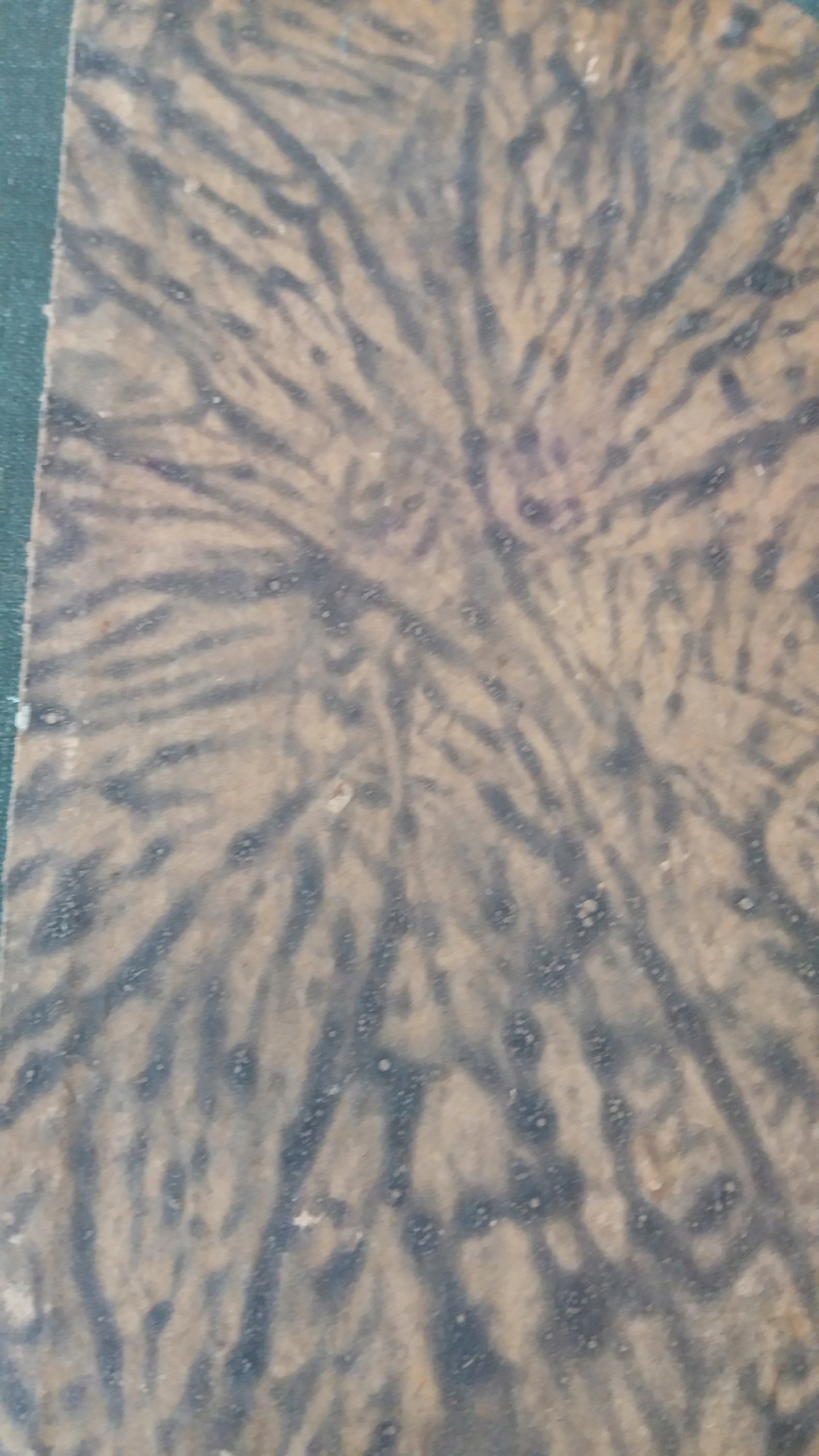 Sienkiewicz QUO VADIS POWIEŚĆ Z CZASÓW NERONA 1925