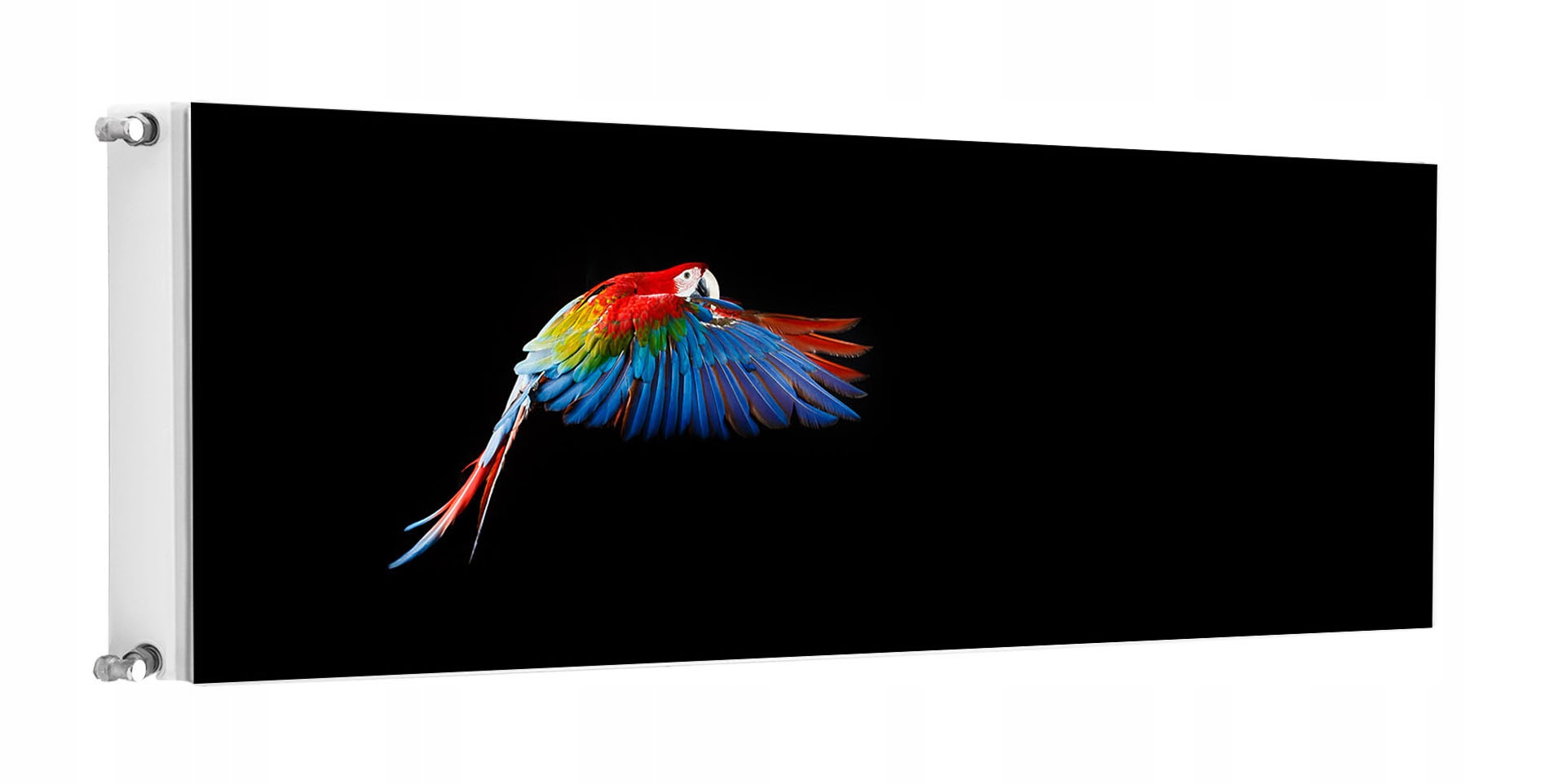 Magnetka Magnetická Podložka Na Radiátor 160x60 Papagáj Fototapeta