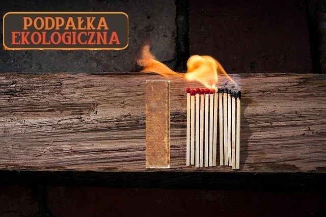 Podpałka, rozpałka do pieca kominka 50 pasków Waga 0.1 kg