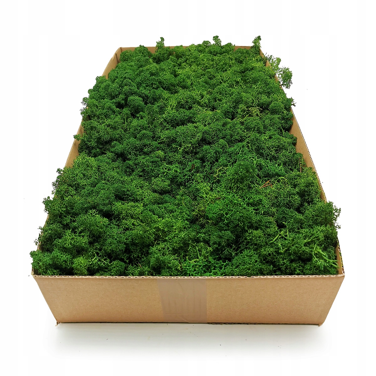 

Mech chrobotek Alpejski 500g