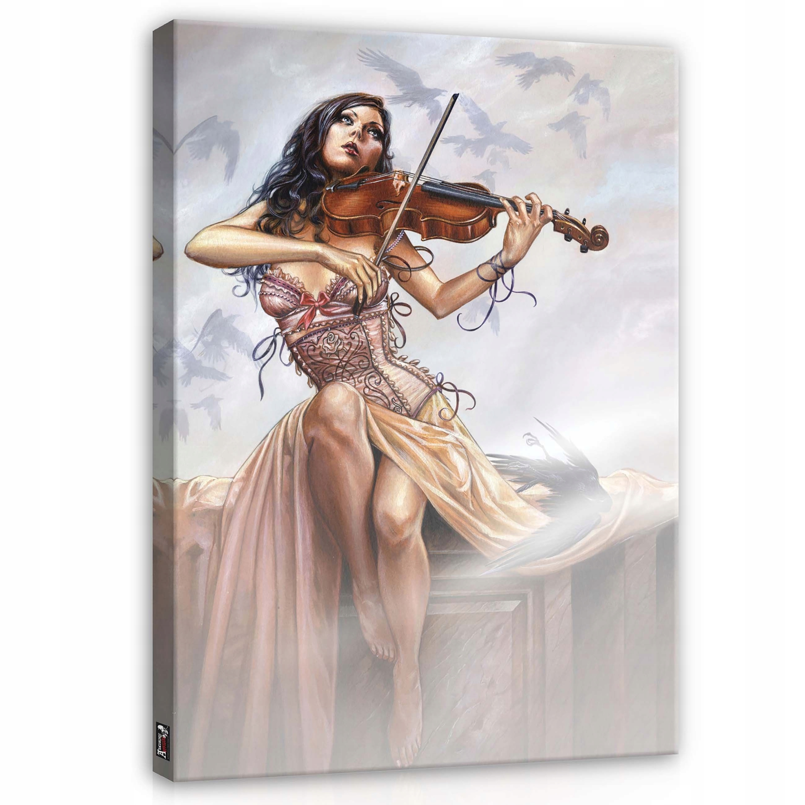 Obraz 75x100 Melancholie žena s houslemi ptáci hudba gotika elegia