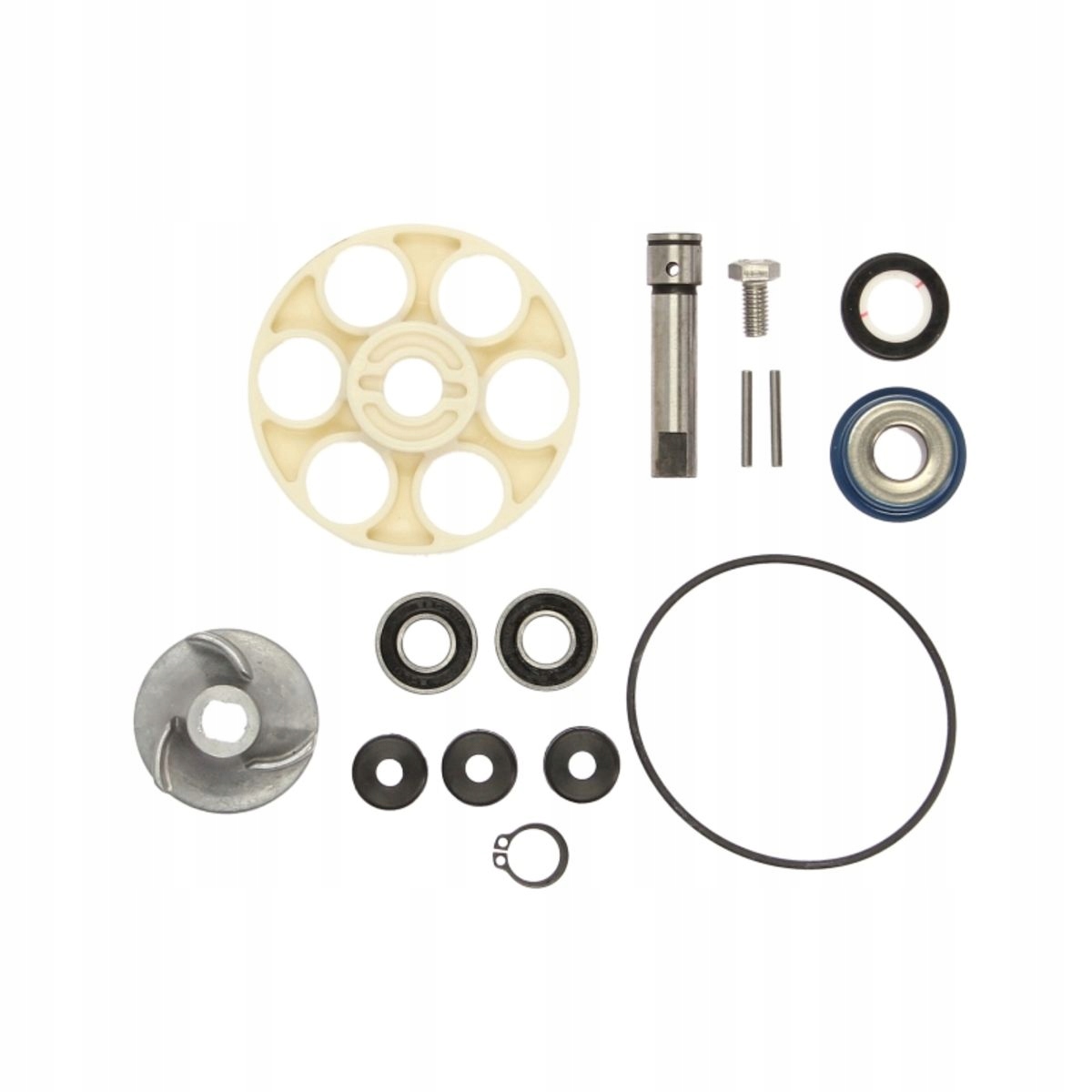 Zestaw naprawczy pompy wody APRILIA SR; SUZUKI AY 50 2000- RMS RMS 10 011 0