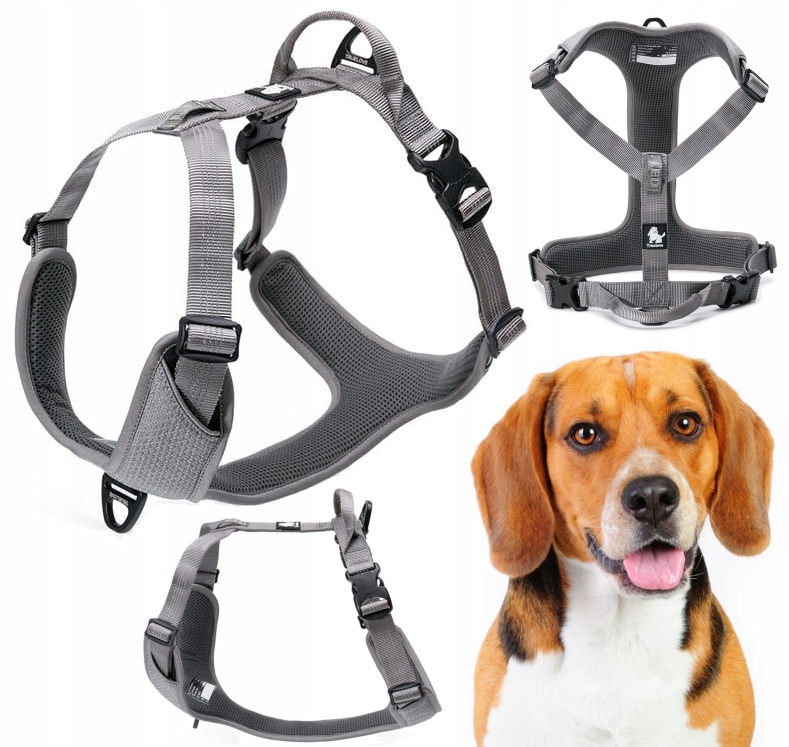 Levně Reflexní Obojky Pro Psa Easy Walk, Silné Truelove Lumen Šedé M