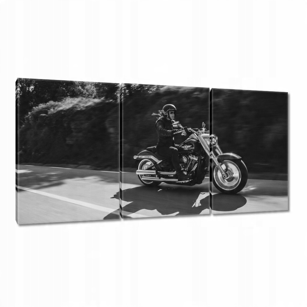 

Obrazy 120x60 Harley Davidson Motocykl