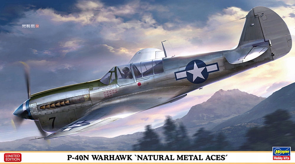 P-40N Warhawk (Natural Metal Aces) 1:48 Hasegawa 07516