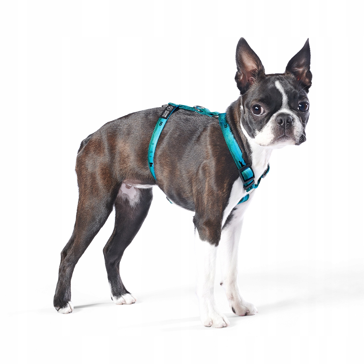 

John Dog City szelki guard new dla psa S