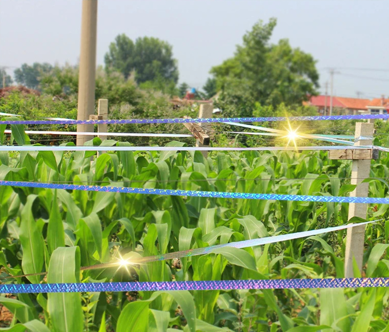 ODSTRASZACZ PTAKÓW TAŚMA HOLOGRAFICZNA ODSTRASZAJĄCA PTAKI SZPAKI KRUKI 50m Marka REPEST