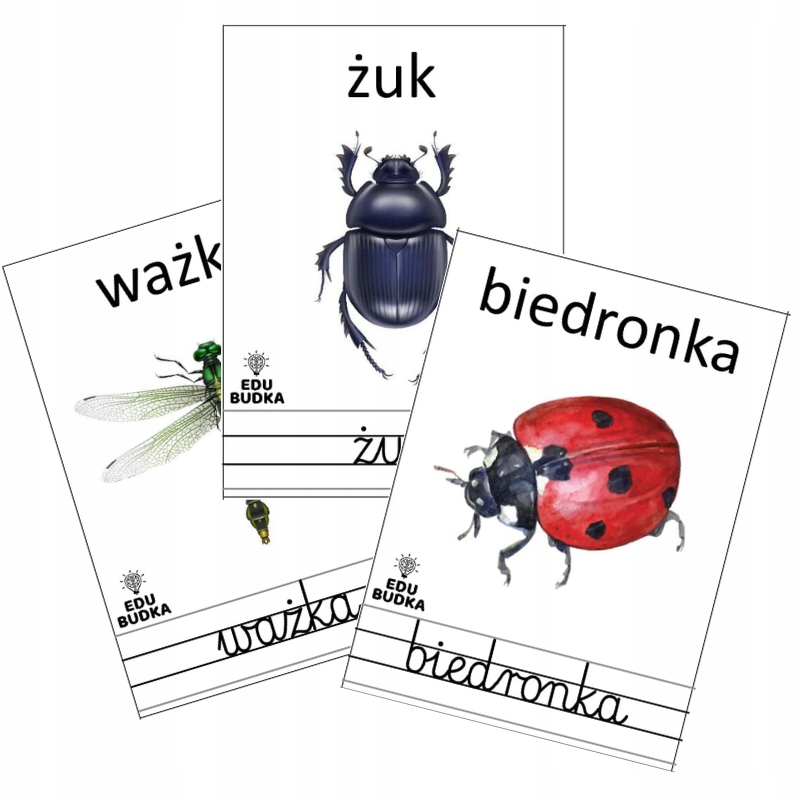 

Karty Obrazkowe Owady |fiszki 16 szt