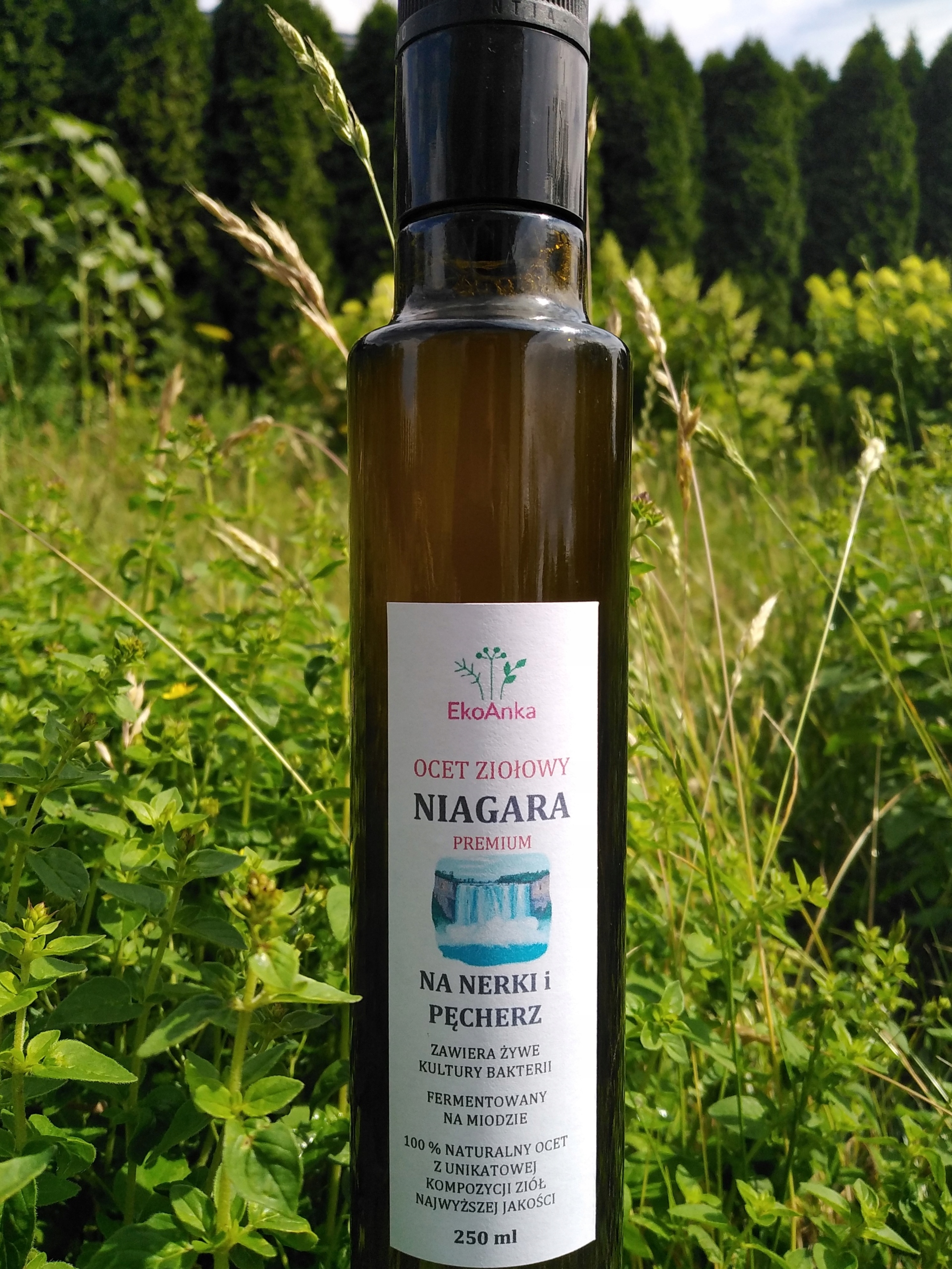 Ocet „Niagara“ (fermentovaný na medu)