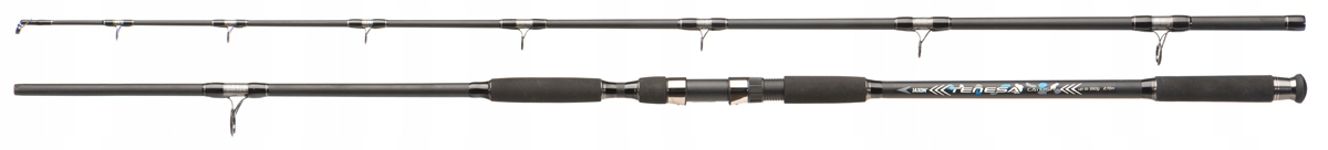 Wędka Jaxon Tenesa Catfish 2,70m Up To 550g