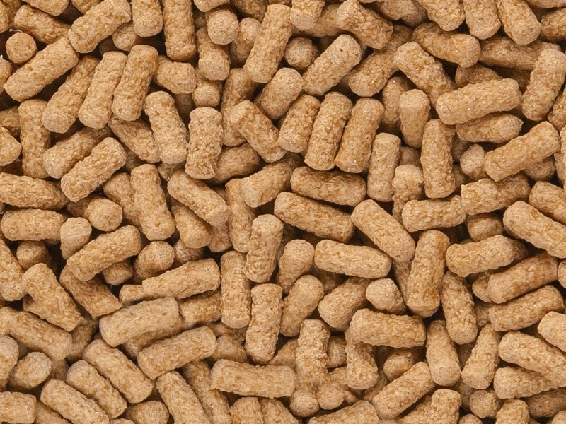 Levně Sera Raffy Mineral doplňkové krmivo 1000ml