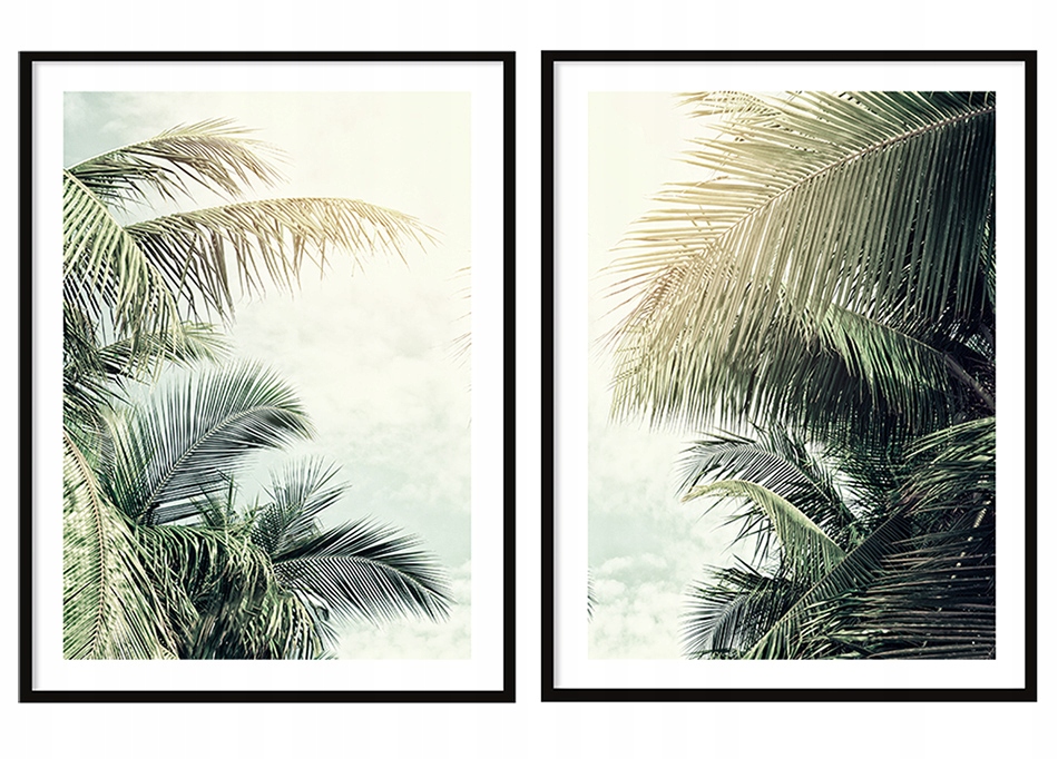 

Obraz Plakaty W Ramie 53x73cm Dyptyk Palmy P2065