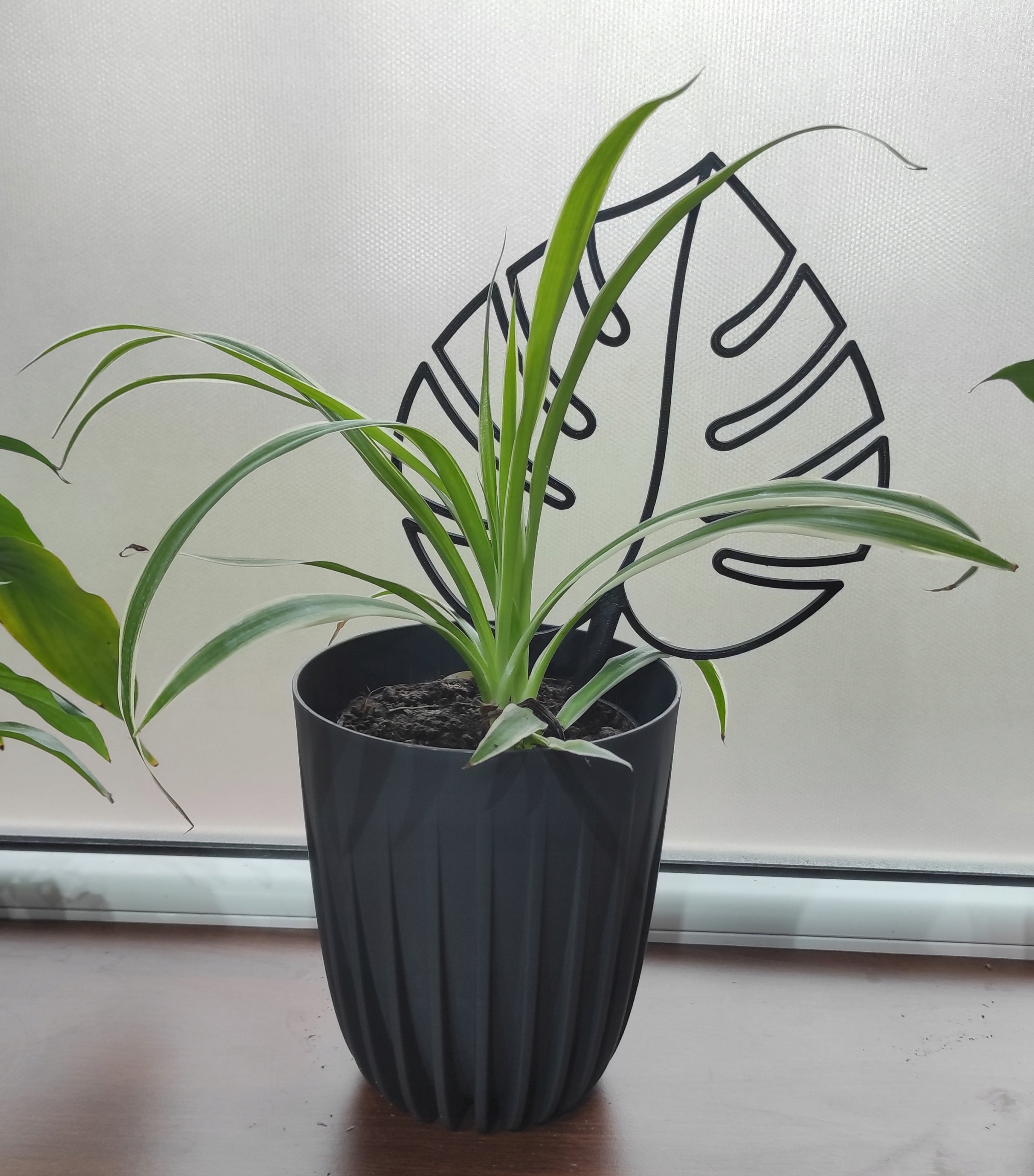 PODPÓRKA KWIATÓW ROŚLIN PERGOLA MONSTERA LIŚĆ 25cm Rodzaj drabinka